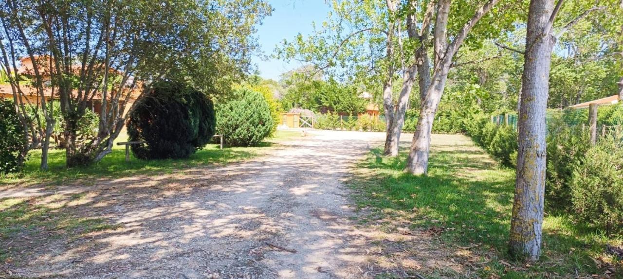 Willa Casas Da Barra Praia de Mira Zewnętrze zdjęcie