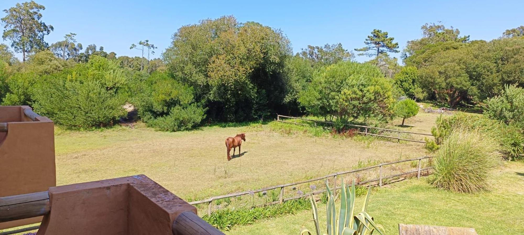 Willa Casas Da Barra Praia de Mira Zewnętrze zdjęcie