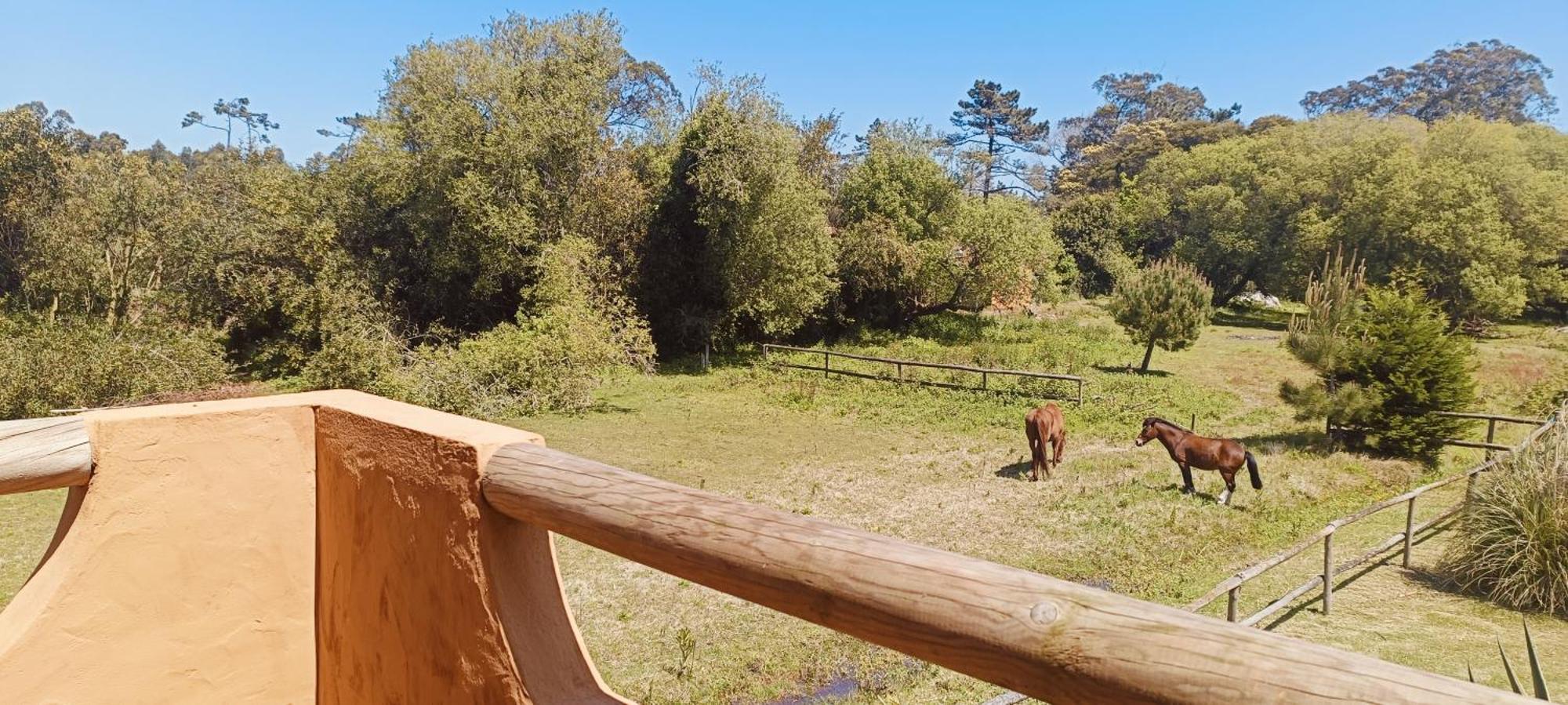 Willa Casas Da Barra Praia de Mira Pokój zdjęcie